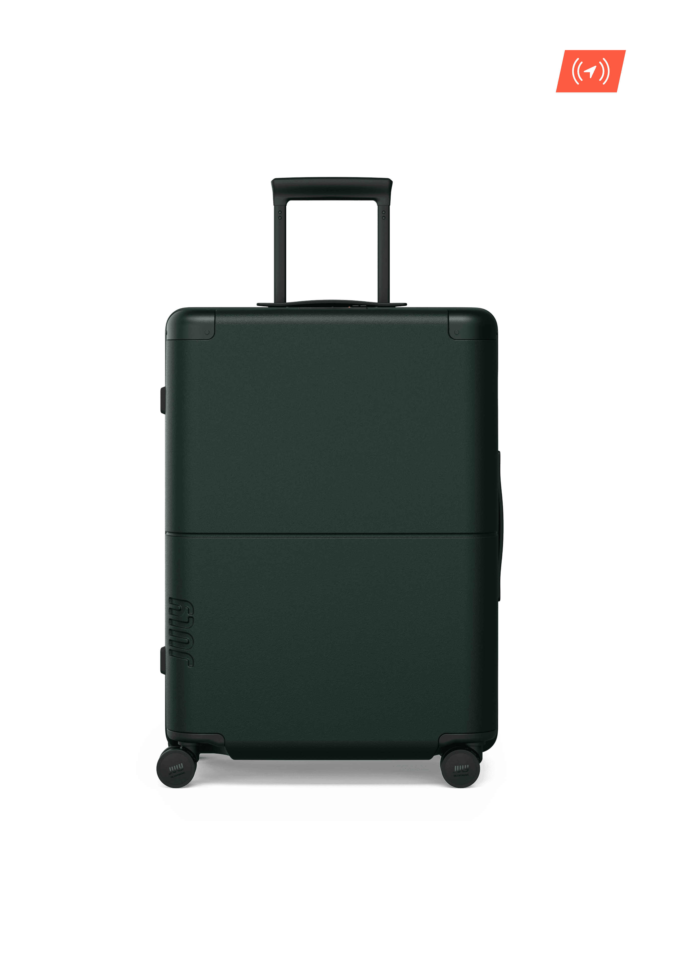 Checked Luggage with Casesafe (Forest)