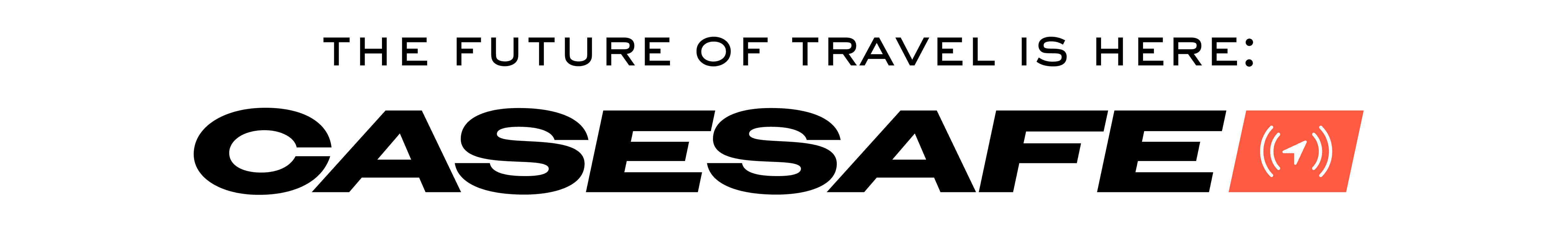 CaseSafe_Text2.png