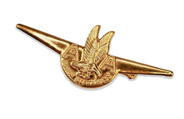 Gold aeroplane lapel pin