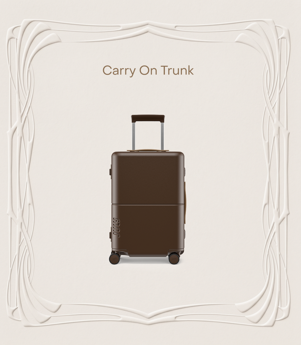 Shop the Carry On Trunk